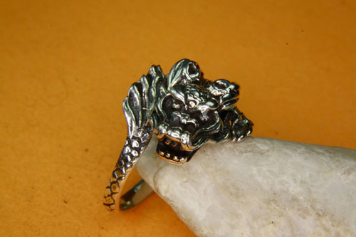 drachenring7.jpg