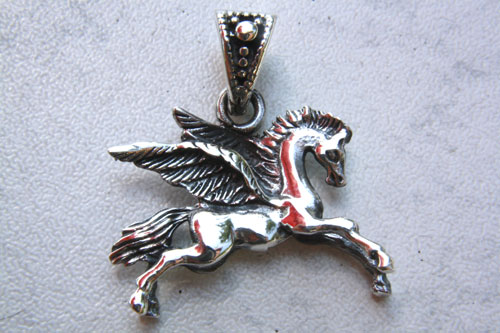 pegasus1-1.jpg