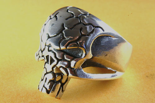 punsherring2-1.jpg