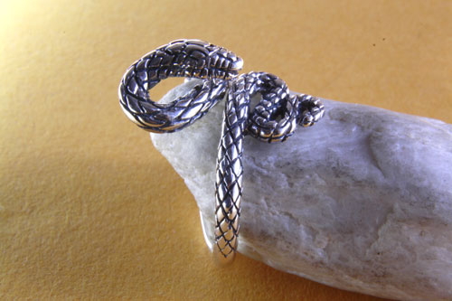 schlangenring4.jpg